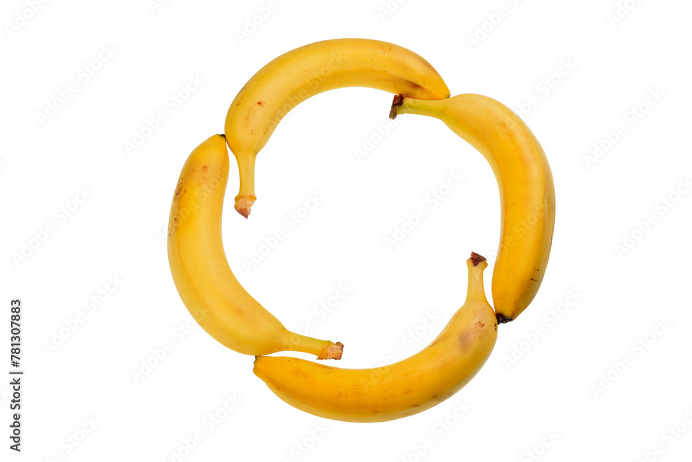 four fresh and clean bananas isolated on white background form a circle and the letter O