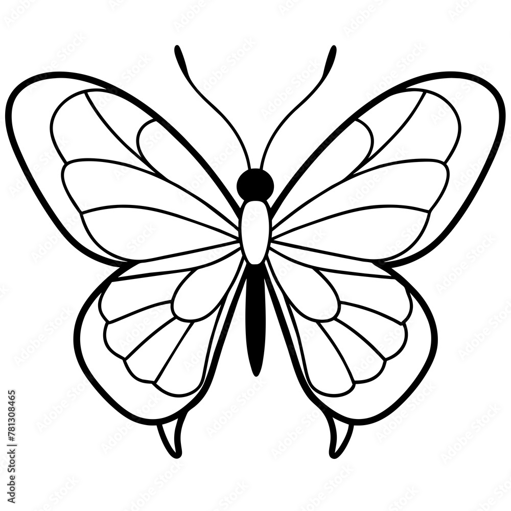 Fototapeta premium Butterfly vector illustration. 