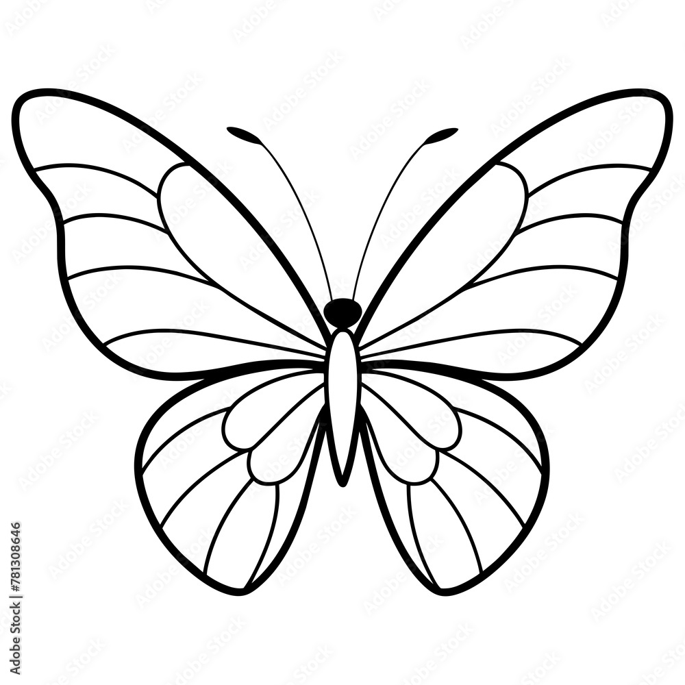 Butterfly vector illustration.
Butterfly vector illustration.
