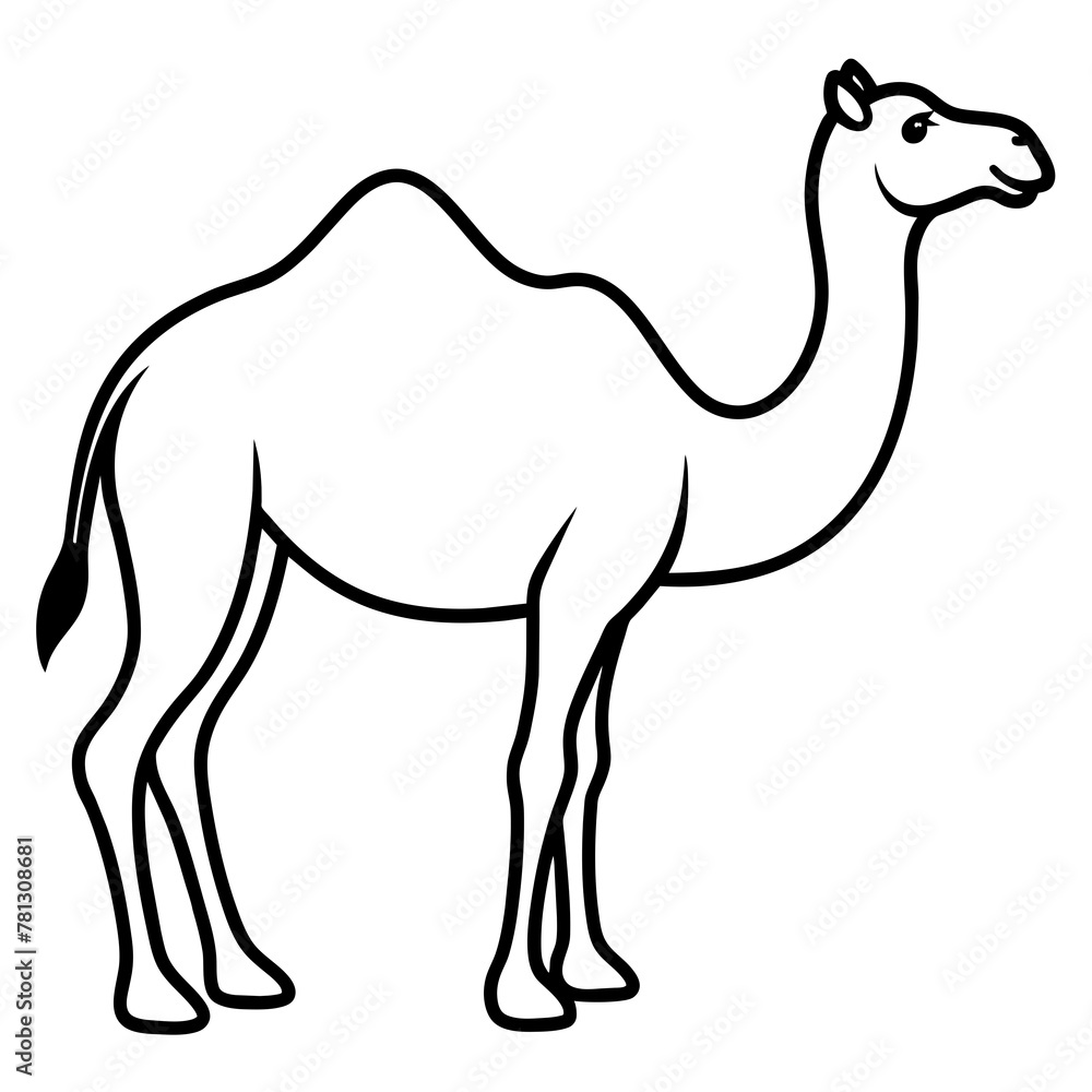 camel camel