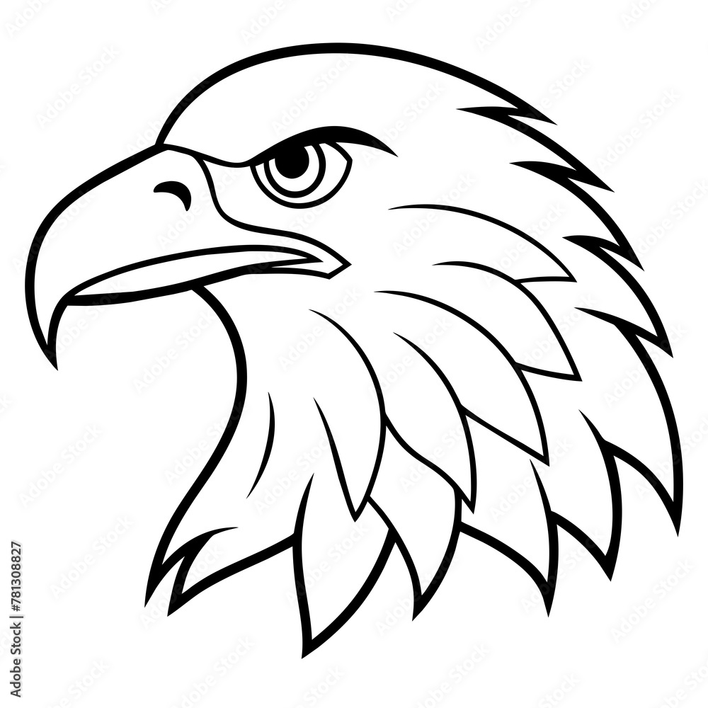 Fototapeta premium american bald eagle
