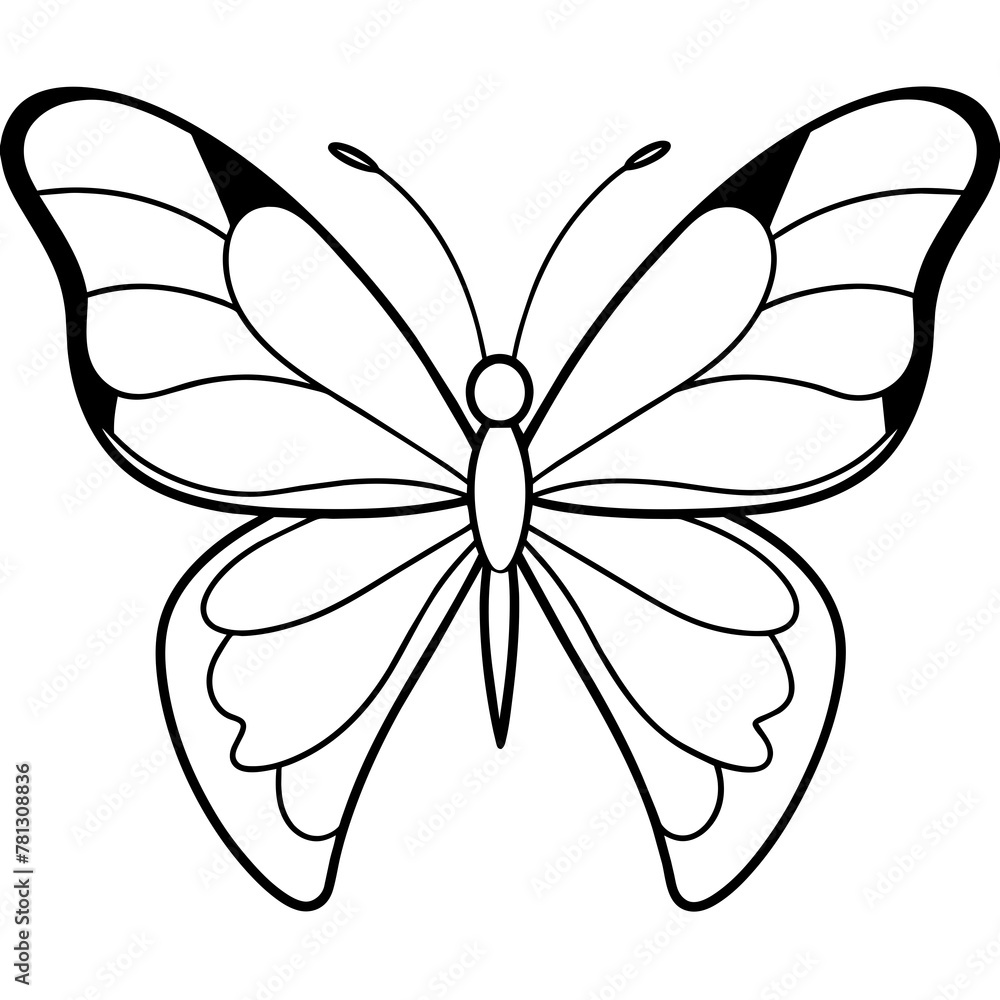 Butterfly vector illustration with line art..
Butterfly vector illustration with line art..