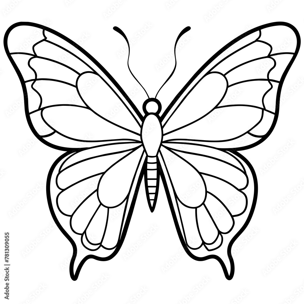 Butterfly vector illustration with line art..
Butterfly vector illustration with line art..