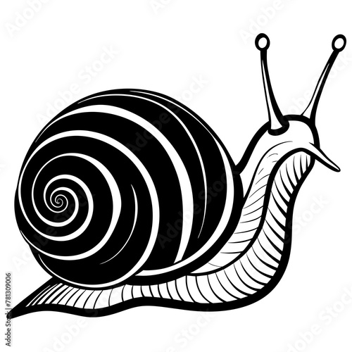 snail