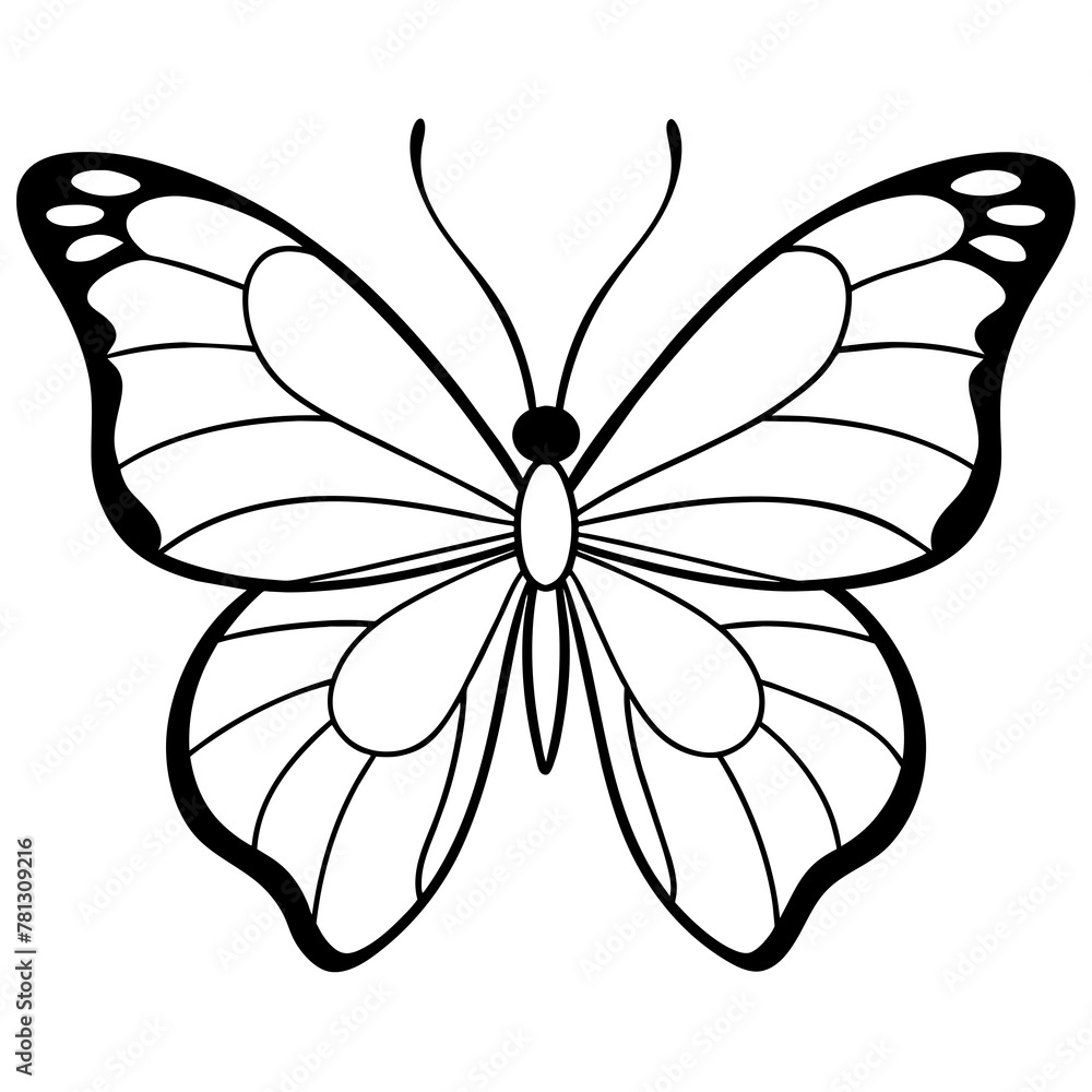 Fototapeta premium Butterfly vector illustration. 
