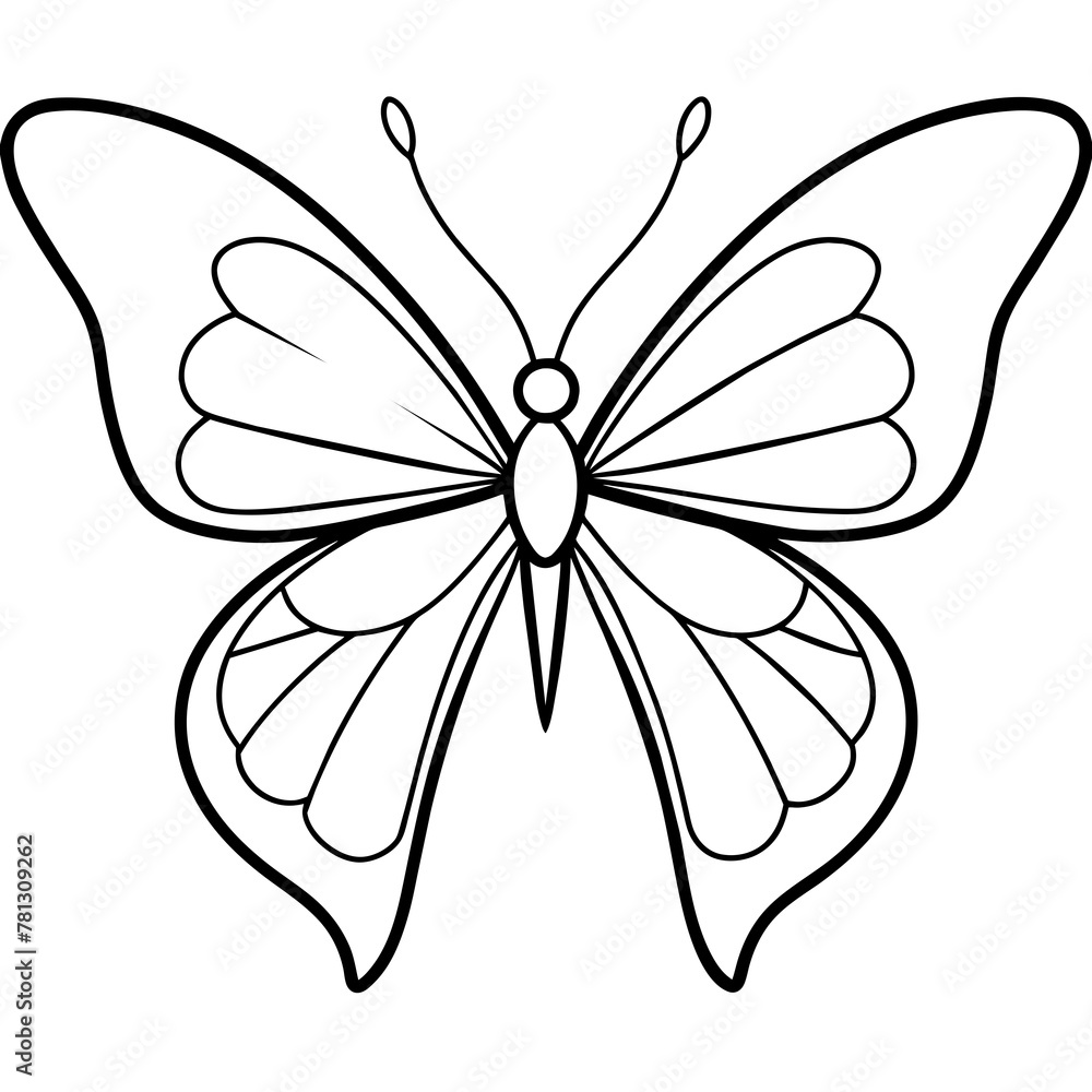 Fototapeta premium Butterfly vector illustration. 