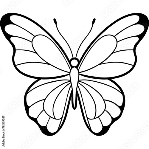     Butterfly vector illustration.
