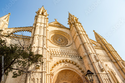 Catedral de Mallorca photo