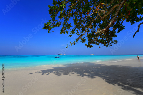 Fototapeta Naklejka Na Ścianę i Meble -  The clear blue sea and the beautiful beach on the paradise island 