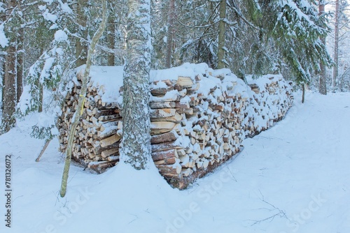 A snow covered pile of logs harvested in winter forest all ready for transport, Loppi, Finland. photo