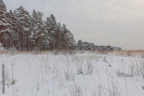Winter landscape view at seashore with snow on the ground in cloudy weather, Kallahdenniemi, Helsinki, Finland.