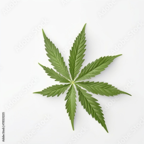 cannabis leaf on a white background, top view, super realistic photo