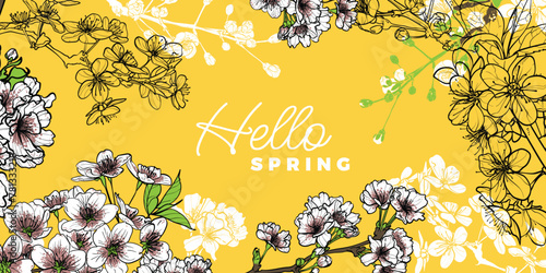 Cherry blossoms vector background. Hand drawn line art and fills of spring flowers. Vector file can be used for both online and print projects.