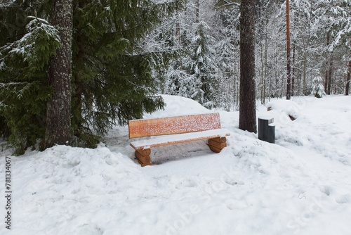 View of bench at Sorsakorpi recreational area in cloudy winter weather, Kerava, Finland. photo