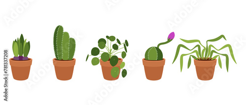 Set of small indoor plants in pots. Vector on white background.