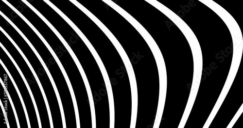 Wallpaper Mural 
Background with black and white geometric stripes.Abstract wallpaper. Seamless loop video. Torontodigital.ca