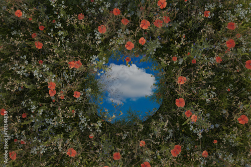 Circular mirror reflecting single white cloud and surrounded by spring meadow flowers. 3D Rendering