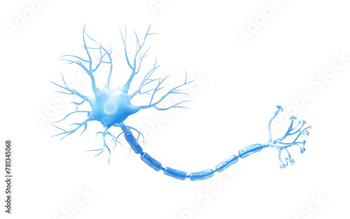 Isolated biology nerve cell, 3d rendering.
