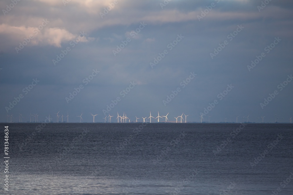 Fototapeta premium seascape and windmills