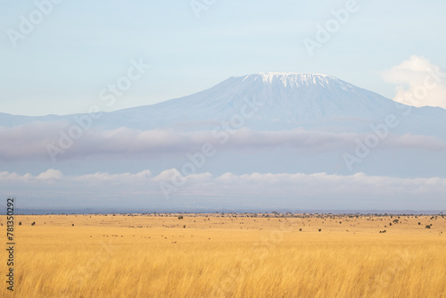 Kilimanjaro as seen from kenya