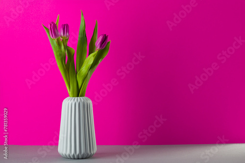 bouquet of pink and purple tulips in a vase on pink background, spring flowers for women, copy space