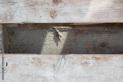 Background of old wooden pallets stacked on top of each other in outdoor environment. Wooden planks close up, texture © AAlves