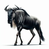 Image of isolated wildebeest against pure white background, ideal for presentations
