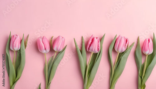 A neat row of delicate pink tulips stretches across a soft pastel pink background  exuding elegance. Generative AI