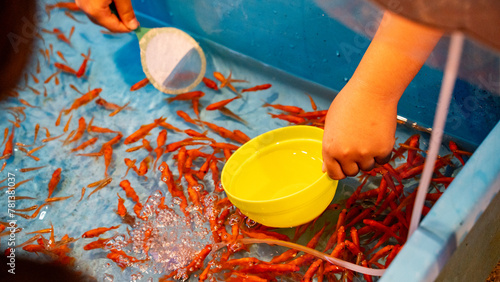 七夕祭りの金魚すくい