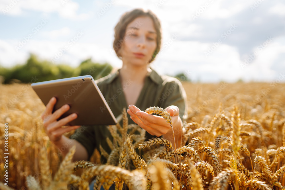 Female farmer using digital tablet in wheat field. Smart farming and digital agriculture. Female farmer using digital tablet in wheat field. Smart farming and digital agriculture.