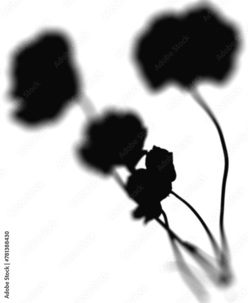 Fototapeta premium Floral Shadow Shape, overlay shadow effect isolated on transparent background