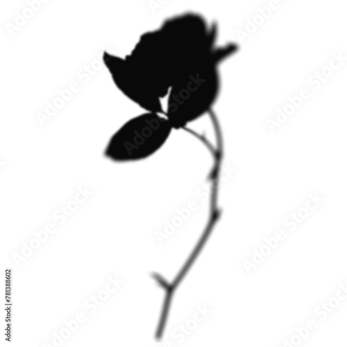Floral Shadow Shape, overlay shadow effect isolated on transparent background (ID: 781388602)