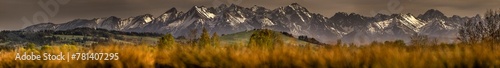 Panorama Polskich gór skalistych . Łańcuch górski nad polami i łąkami. Dzika natura . Ośnieżone góry  i lato © FotoEston