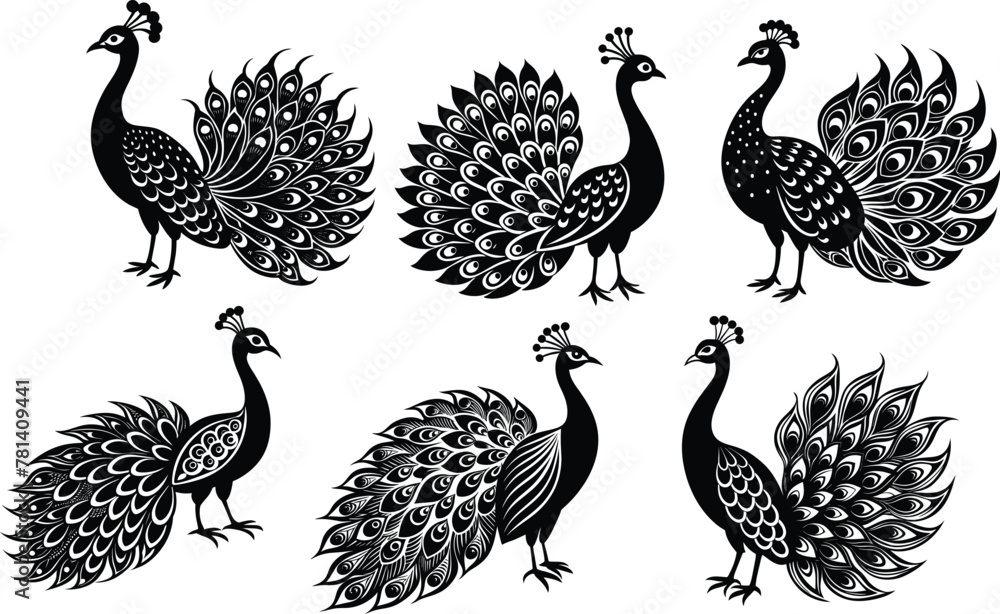 Set of Peacock Silhouette Vector Illustration Set of Peacock Silhouette Vector Illustration