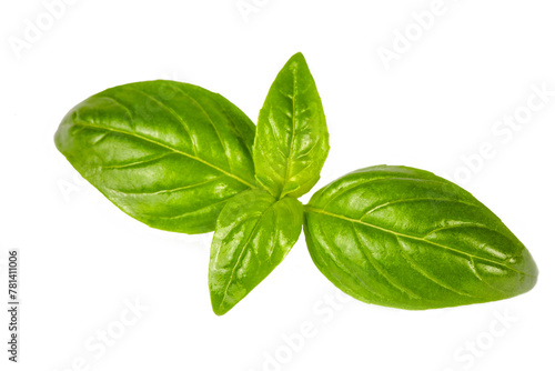 Fresh basil leaves isolated...