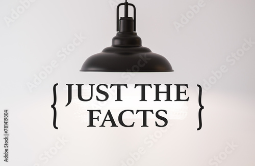 Just The Facts Text on white isolated sky background. This message can be used as business concept. photo