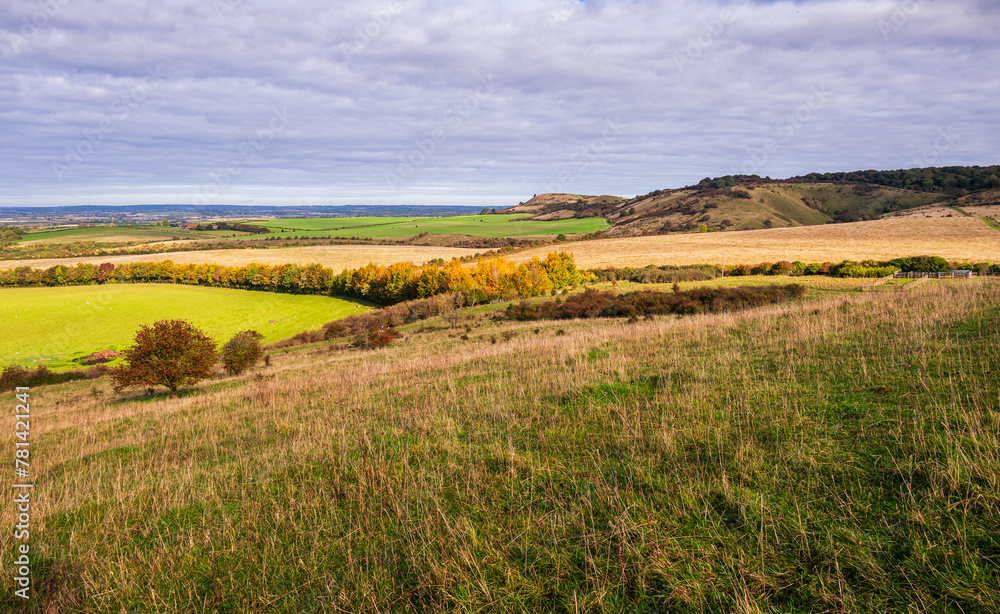 A view with rolling landscape near Ivinghoe Beacon at Chilterns AONB in Autumn