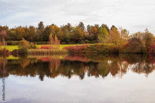 Colourful Autumn reflection of vegetation on Caldecotte lake in November