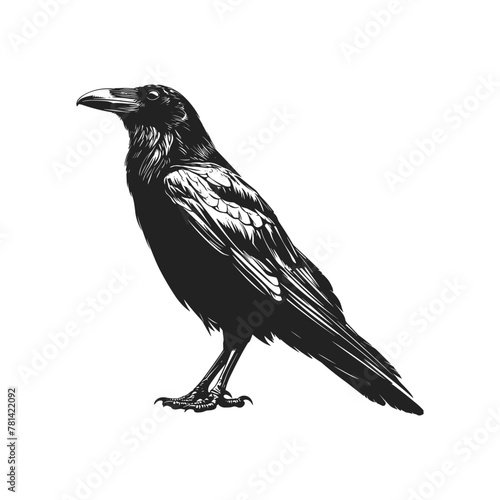 Raven black silhouette vector illustration isolated on white background Crow Flat Logo Icon Clipart