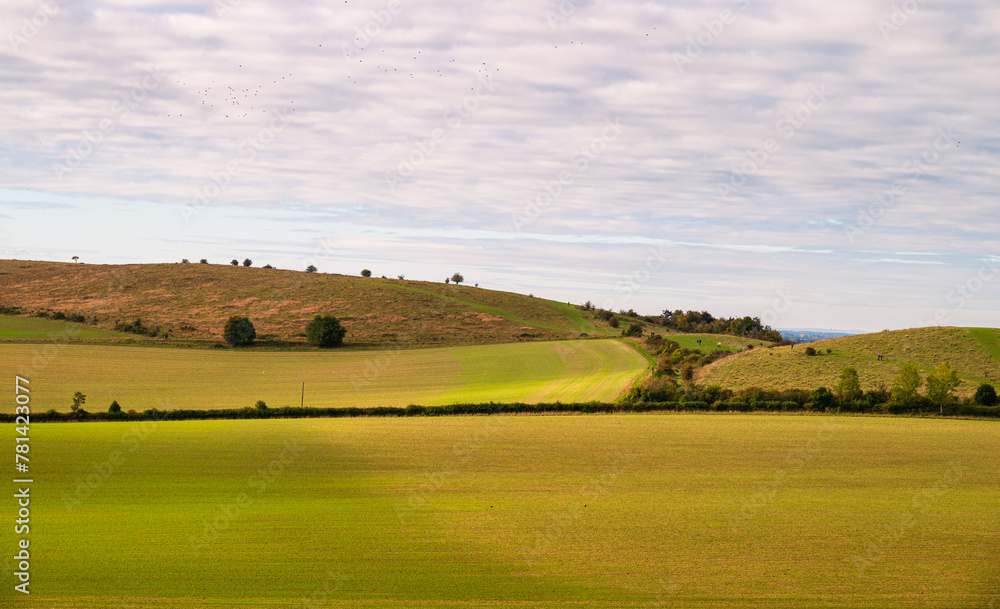 Hilly landscape near Pistone Hill area at Chilterns AONB in Autumn