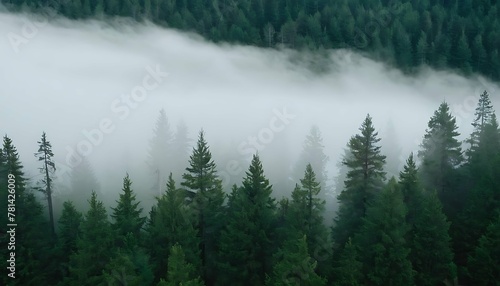 Dreamy valley landscape, a vast evergreen forest bathed in soft morning light. Layers of translucent mist create a sense of depth and tranquility. Bird's eye view © nocstic