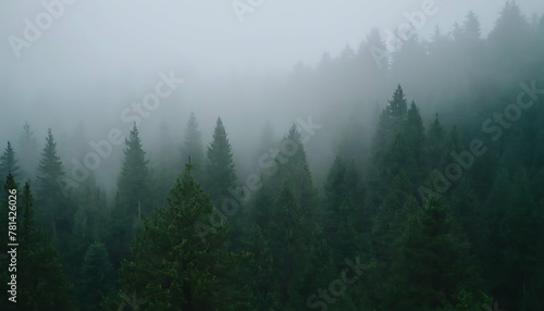 Mystical landscape of rolling hills covered in a thick pine forest. Wispy fog hangs low in the valleys, creating a sense of mystery. Aerial perspective