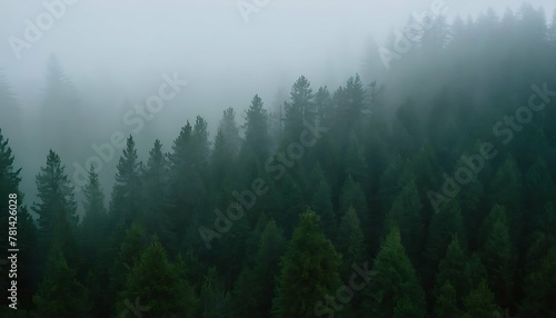 Dreamy valley landscape, a vast evergreen forest bathed in soft morning light. Layers of translucent mist create a sense of depth and tranquility. Bird's eye view