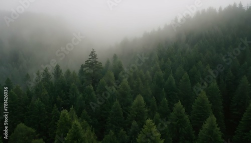 Dreamy valley landscape  a vast evergreen forest bathed in soft morning light. Layers of translucent mist create a sense of depth and tranquility. Bird s eye view