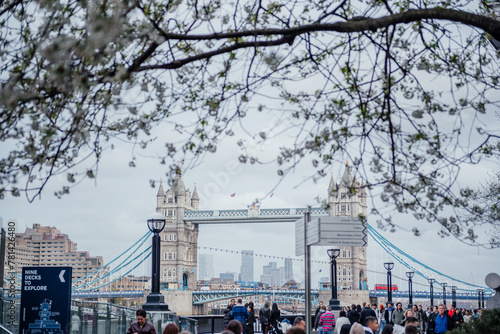Tower Bridge Through Blossoming Branches