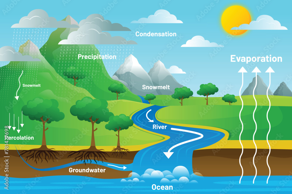 Water cycle illustrated with steps
