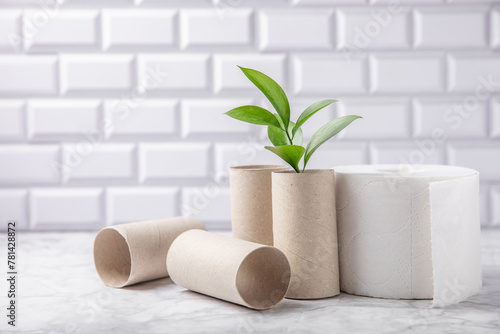 Empty toilet paper roll. Empty toilet paper rolls and plant for on marble background. Paper tube of toilet paper. Place for text. Copy space. Flat lay. Eco-friendly reuse recycle