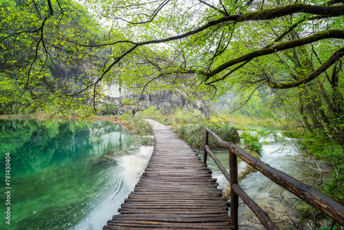 Amazing picture with picturesque lakes in the green spring forest of Plitvice national park in Croatia.  © Jess_Ivanova