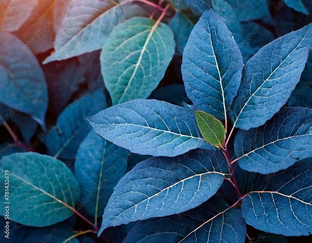 Blue plant leaves in the nature in fall season, blue background