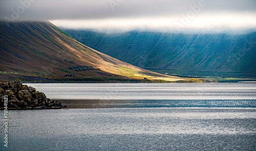 Foggy Morning in Iceland